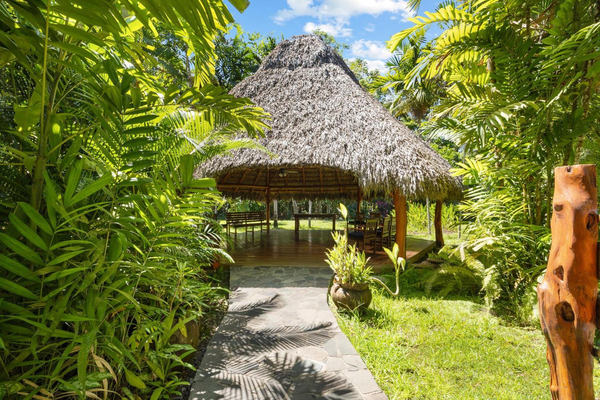 Tambor Tropical Beach Resort- Adults Only Exteriör bild